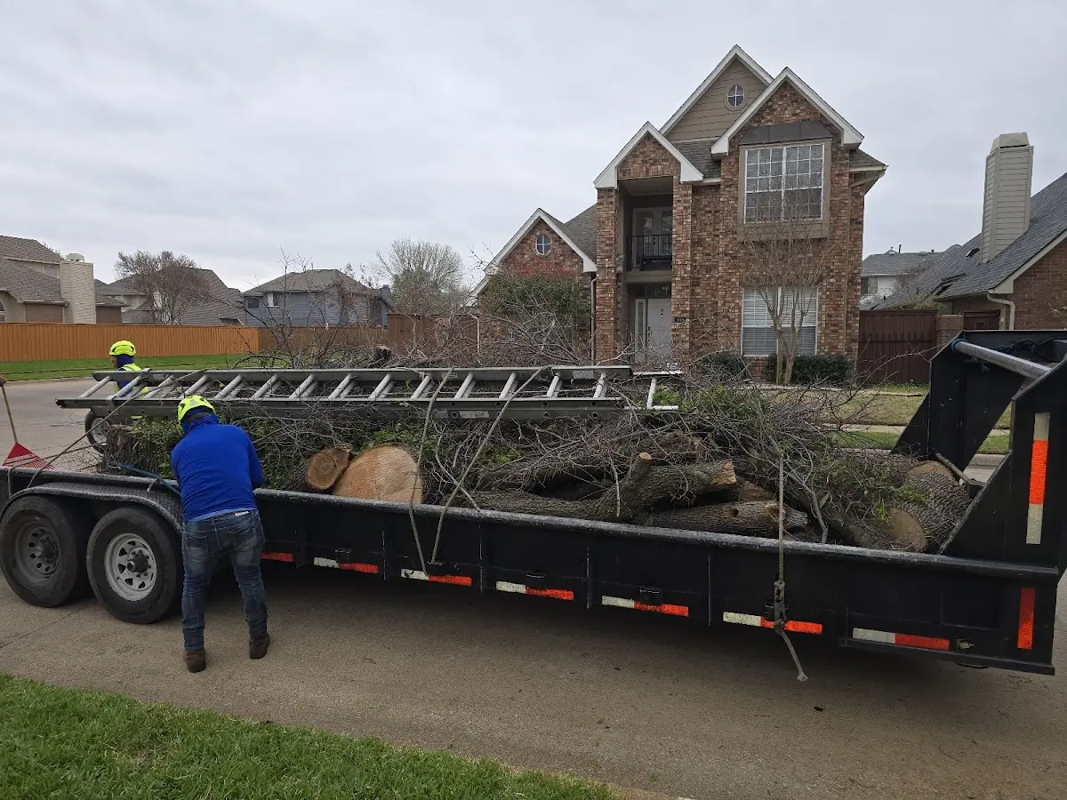 Expert Lot Clearing with proper safety equipment in New Buffalo